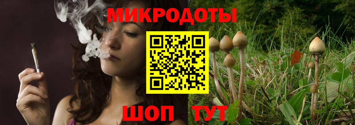 Ангарск  Псилоцибиновые грибы Psilocybe  Вход с VPN  Галлюциногенные грибы мицелий 